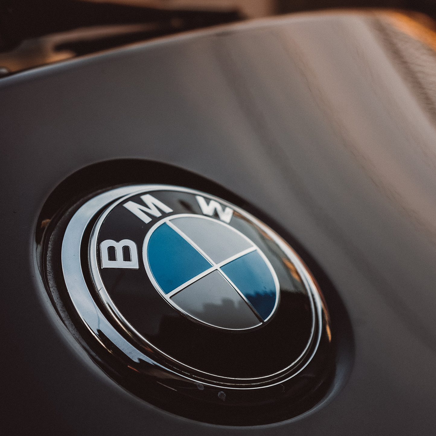 BMW Baklogo Blå & Hvit 70mm