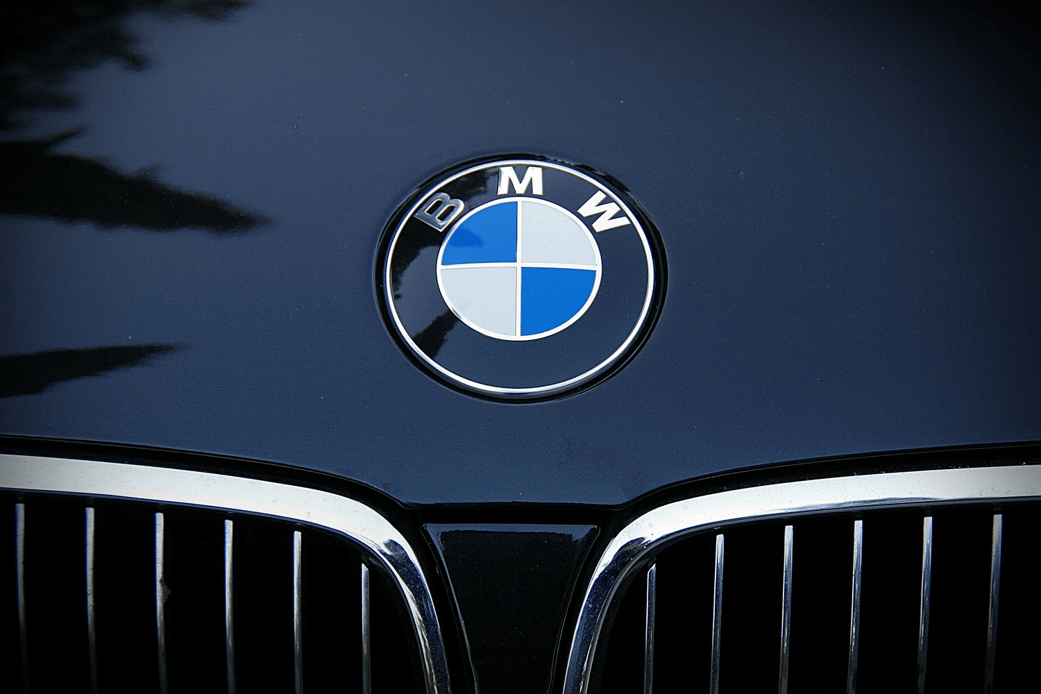 BMW | Driverse