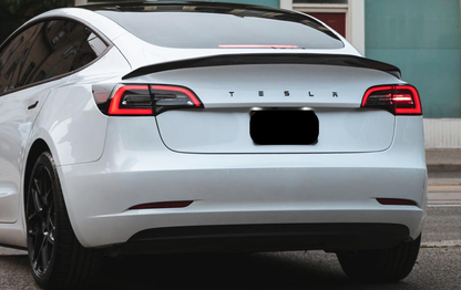 Sort TESLA Bag Logo Badge